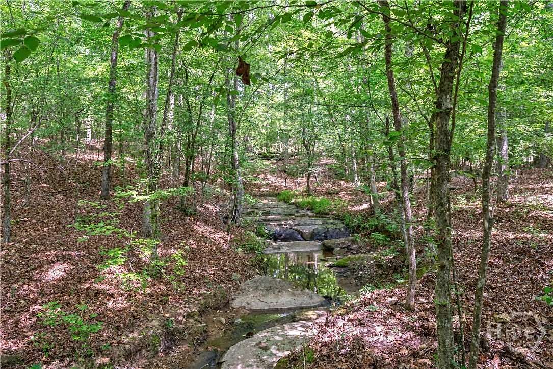 199 Acres of Recreational & Residential Land for Sale in Carlton, Georgia