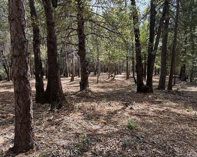6.59 Acres of Residential Land for Sale in Forest Ranch, California