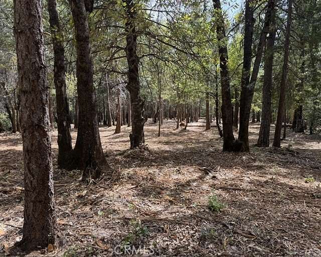 6.59 Acres of Residential Land for Sale in Forest Ranch, California