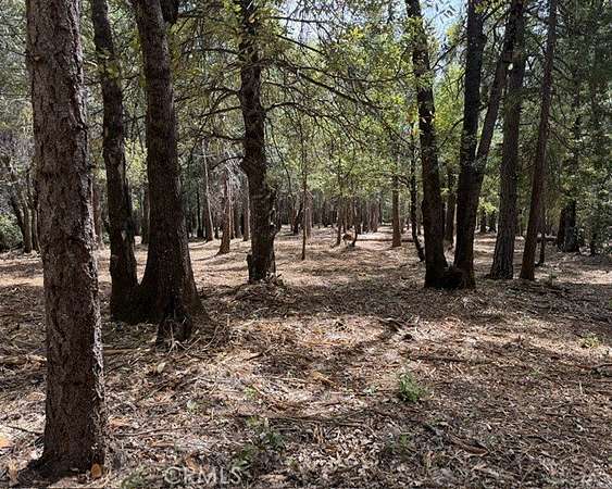 6.59 Acres of Residential Land for Sale in Forest Ranch, California