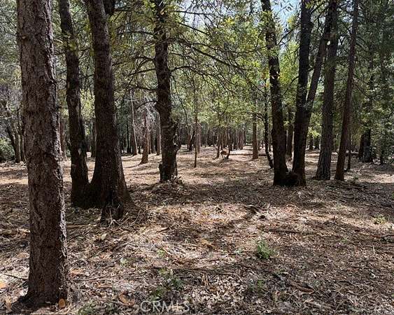 6.59 Acres of Land for Sale in Forest Ranch, California
