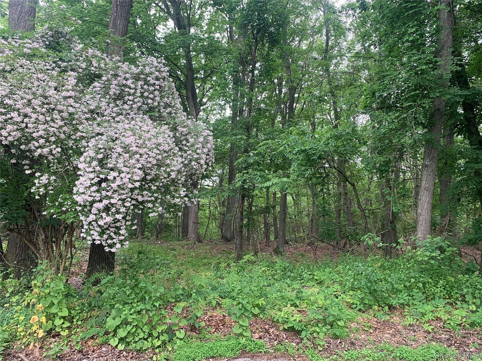 1 Acre of Residential Land for Sale in Port Jefferson, New York