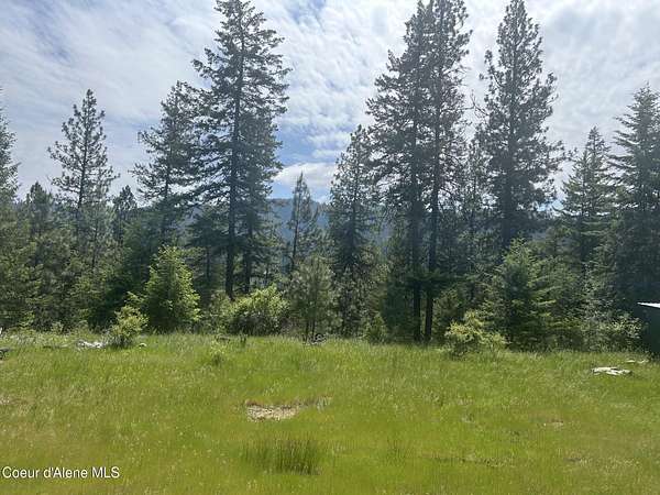 10 Acres of Recreational Land for Sale in Coeur d'Alene, Idaho