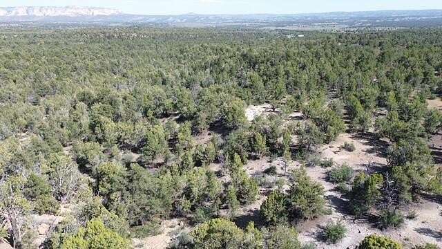 40 Acres of Recreational Land for Sale in Orderville, Utah