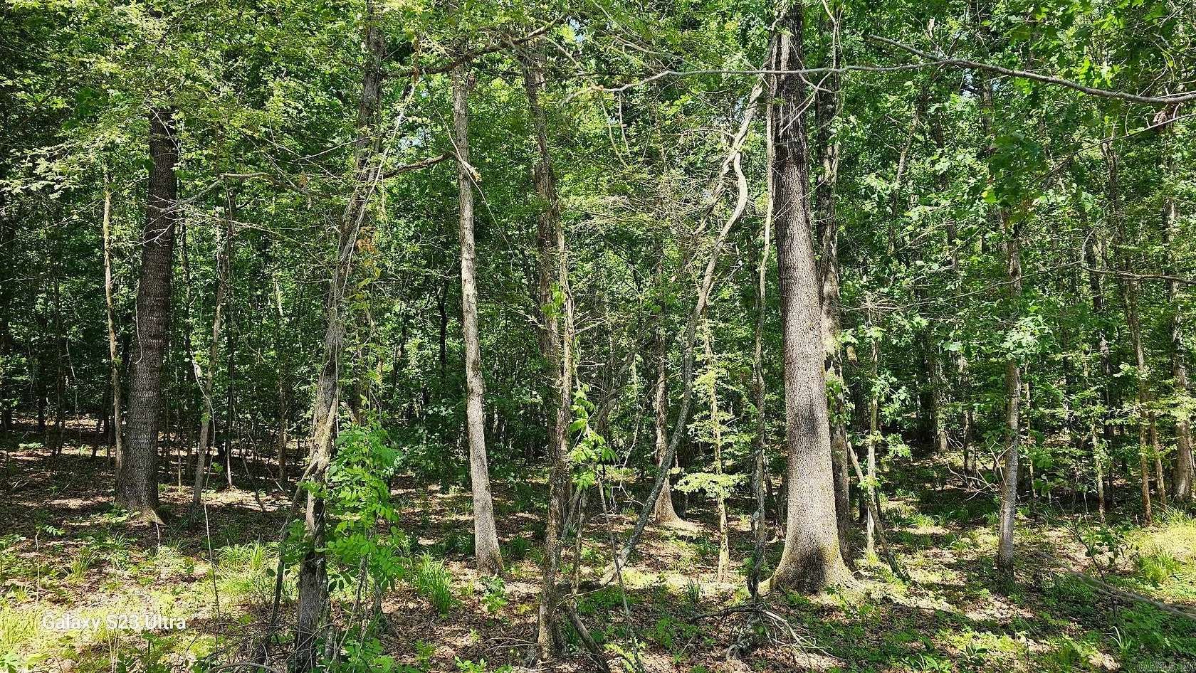 25 Acres of Recreational Land for Sale in Stephens, Arkansas