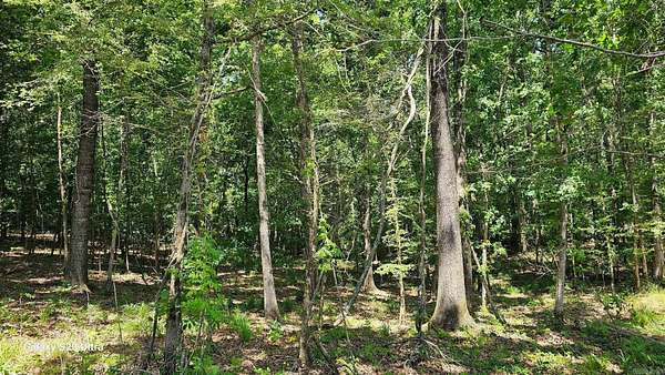 25 Acres of Recreational Land for Sale in Stephens, Arkansas