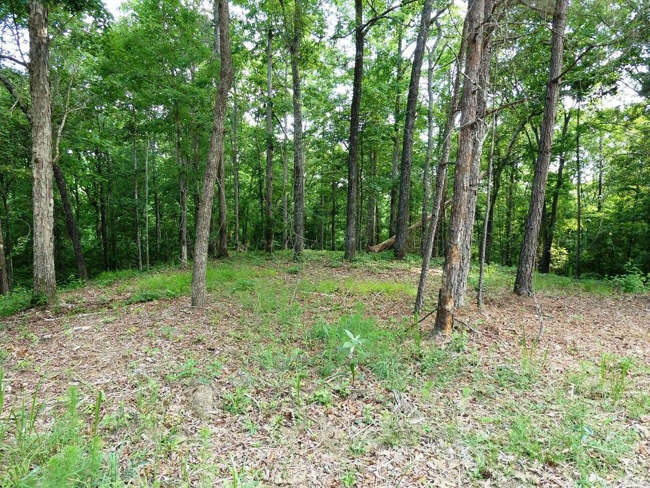 2 Acres of Residential Land for Sale in Jasper, Alabama