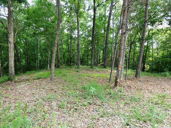 2 Acres of Residential Land for Sale in Jasper, Alabama