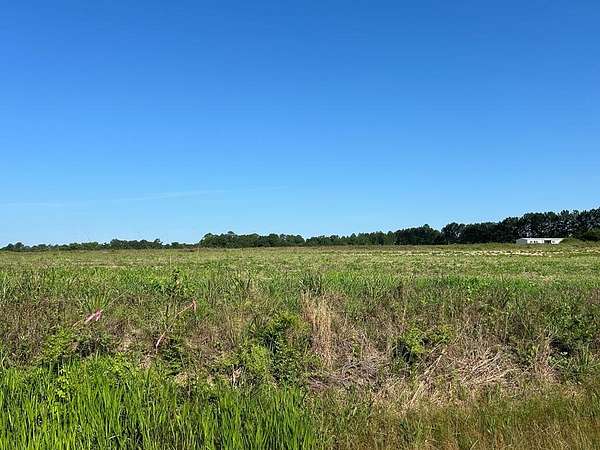 40.5 Acres of Recreational & Residential Land for Sale in Dothan, Alabama