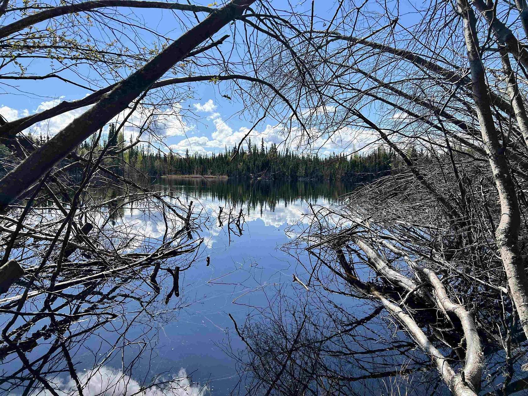 5.39 Acres of Residential Land for Sale in Fairbanks, Alaska