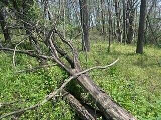 0.48 Acres of Residential Land for Sale in Howard, Ohio