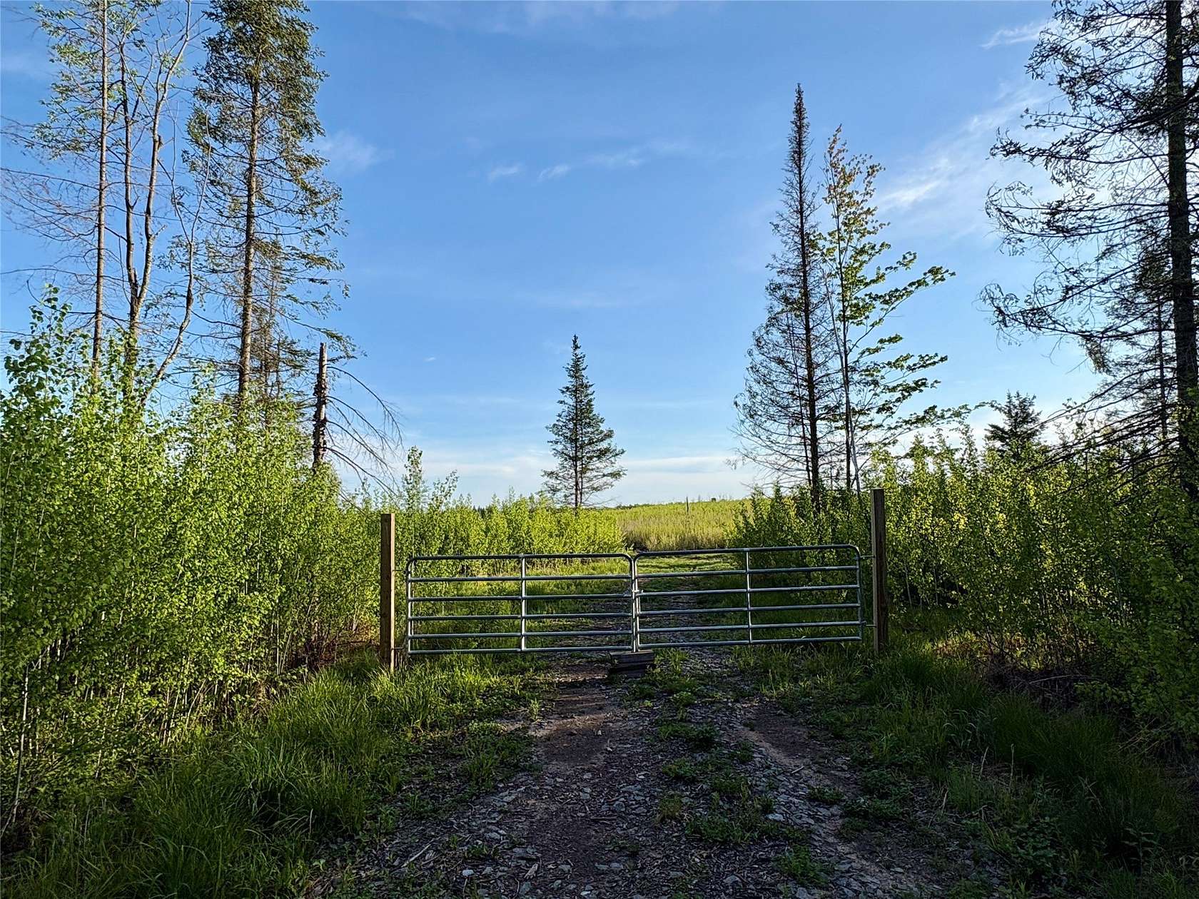20 Acres of Land for Sale in Ladysmith, Wisconsin
