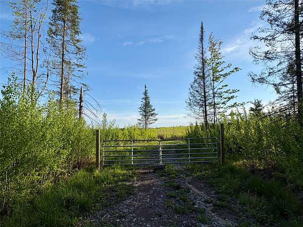 20 Acres of Land for Sale in Ladysmith, Wisconsin