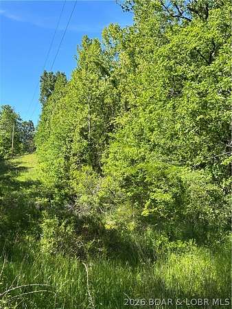 40 Acres of Recreational & Residential Land for Sale in Montreal, Missouri