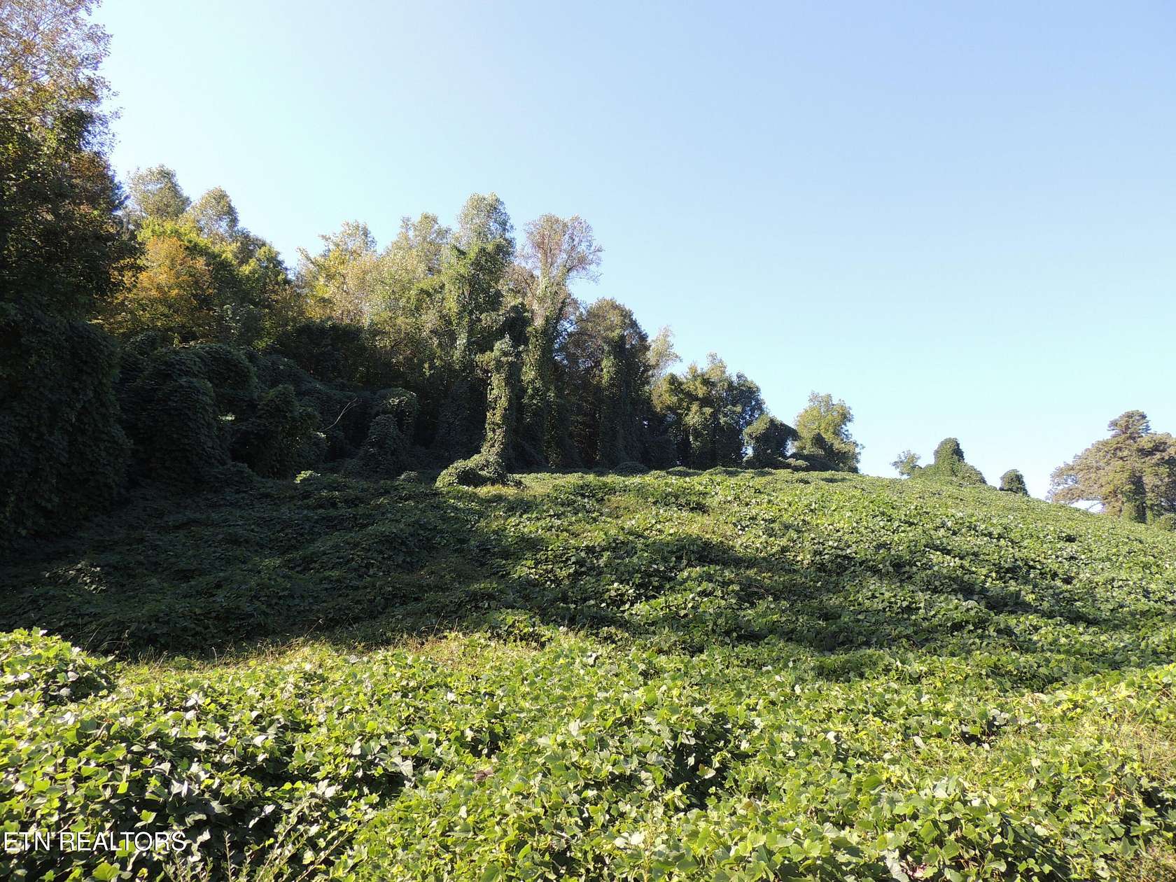 4.6 Acres of Residential Land for Sale in Knoxville, Tennessee