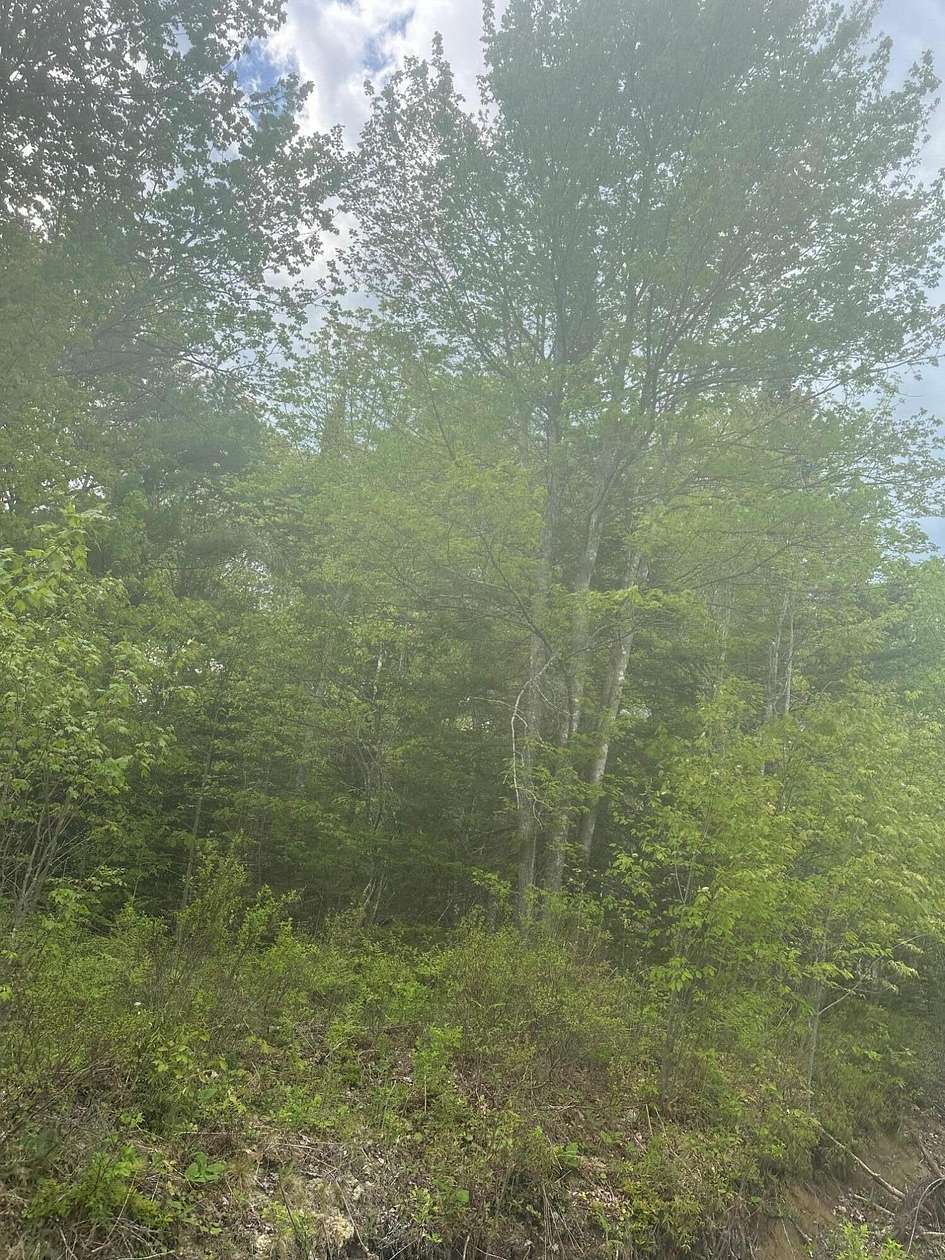 5.39 Acres of Residential Land for Sale in Steuben, Maine