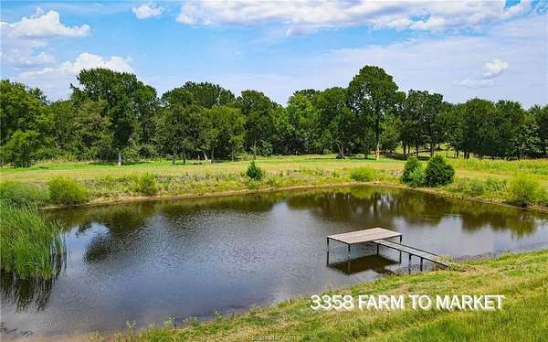 54.5 Acres of Recreational Land for Sale in Caldwell, Texas