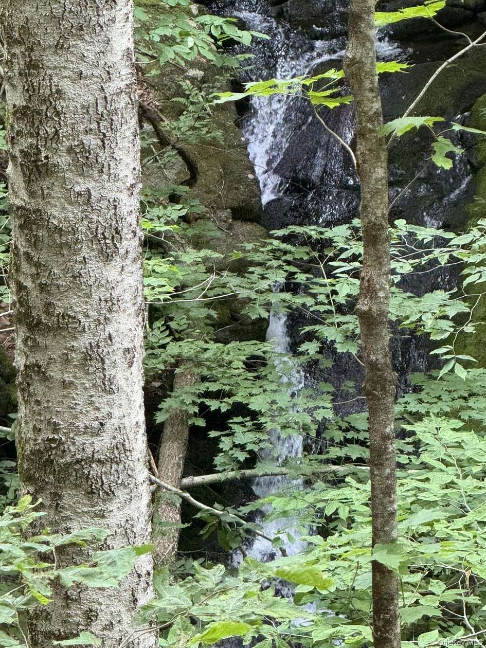 240 Acres of Recreational Land for Sale in Warrensburg, New York
