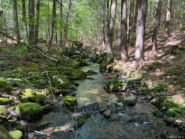 240 Acres of Recreational Land for Sale in Warrensburg, New York
