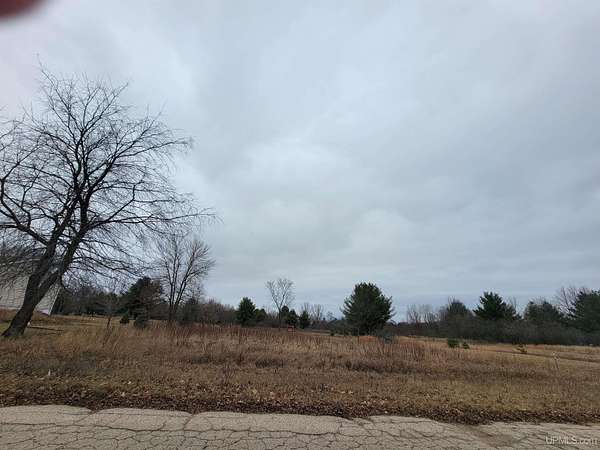 1 Acre of Residential Land for Sale in Oconto Falls, Wisconsin