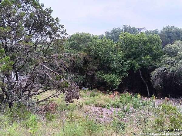 0.46 Acres of Residential Land for Sale in Canyon Lake, Texas
