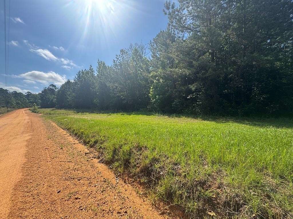 9.74 Acres of Land for Sale in Georgetown, Georgia
