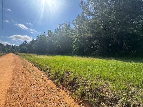 9.74 Acres of Land for Sale in Georgetown, Georgia