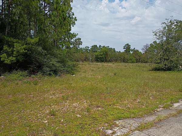 2 Acres of Residential Land for Sale in Freeport, Florida