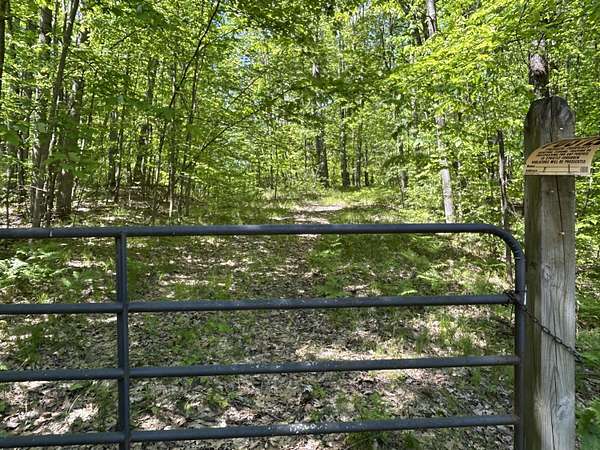 8.3 Acres of Land for Sale in Mecosta, Michigan