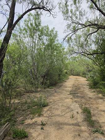 10.3 Acres of Land with Home for Sale in Fowlerton, Texas