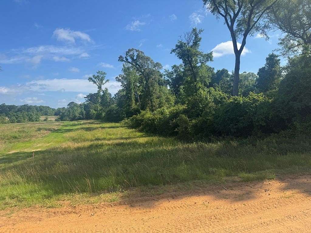 4 Acres of Land for Sale in Georgetown, Georgia