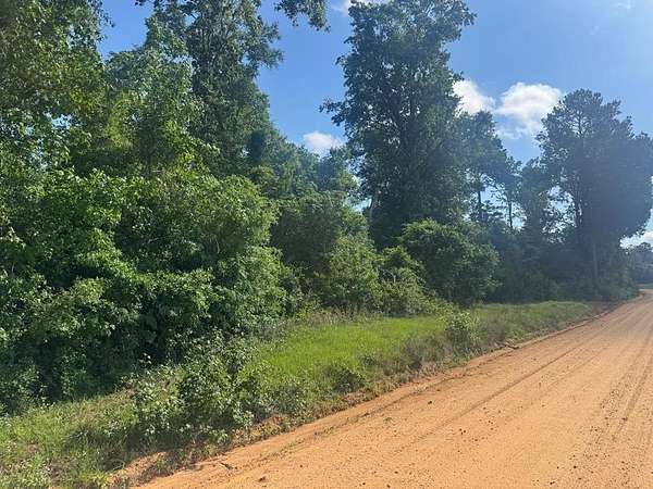 3.12 Acres of Land for Sale in Georgetown, Georgia