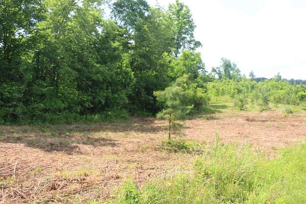 5 Acres of Residential Land for Sale in Decatur, Tennessee