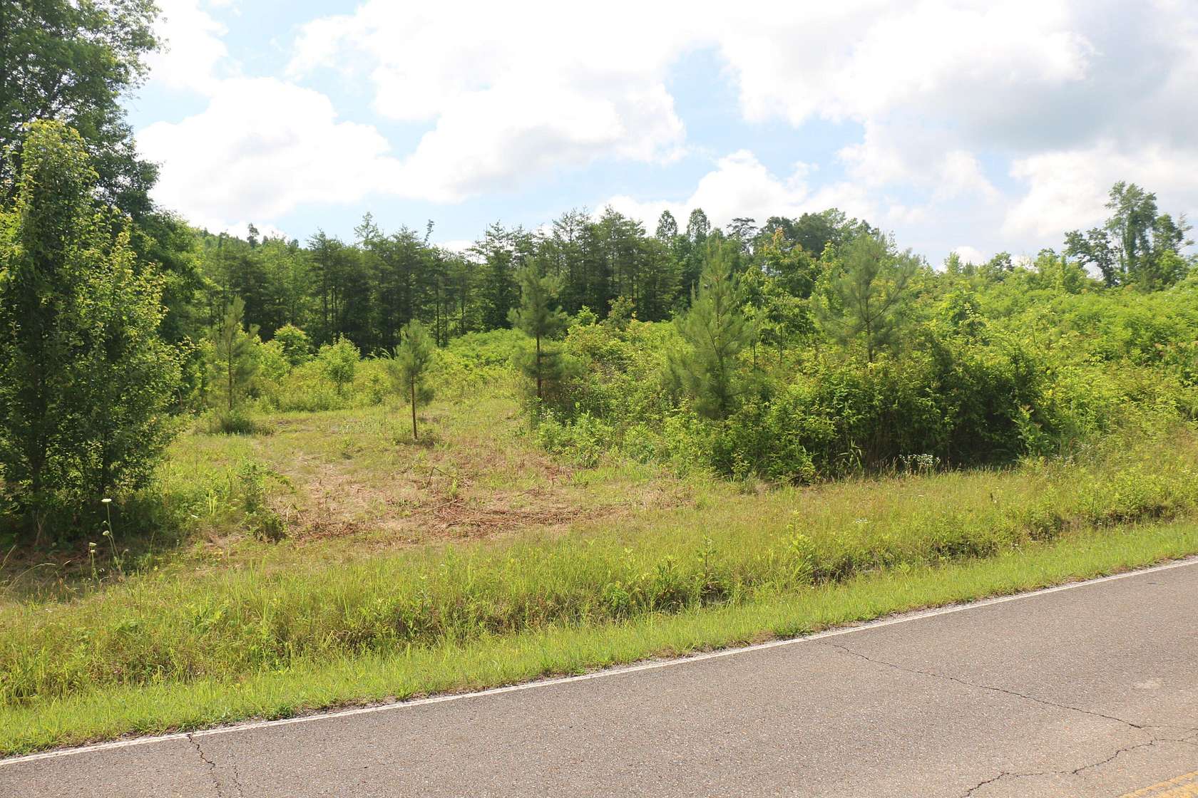 5 Acres of Residential Land for Sale in Decatur, Tennessee