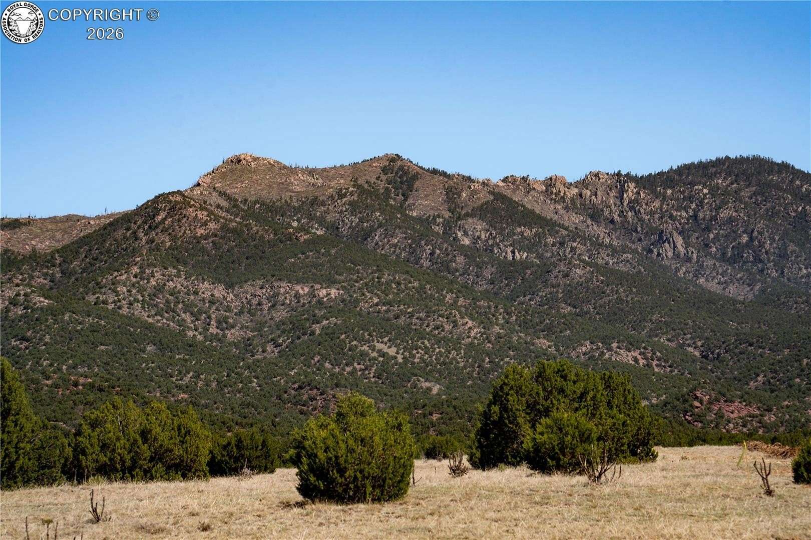 39 Acres of Land for Sale in Penrose, Colorado