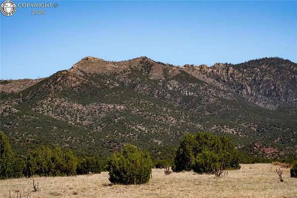 39 Acres of Land for Sale in Penrose, Colorado