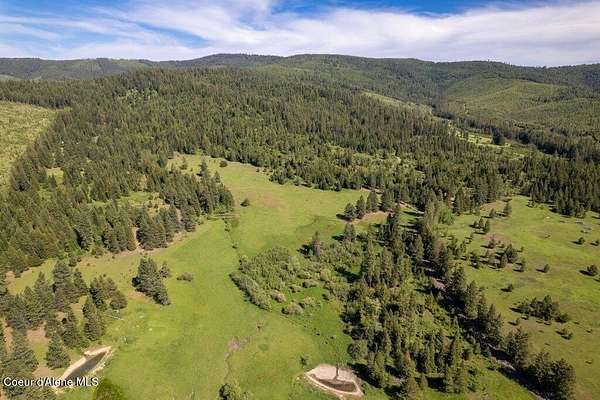 40 Acres of Land for Sale in St. Maries, Idaho