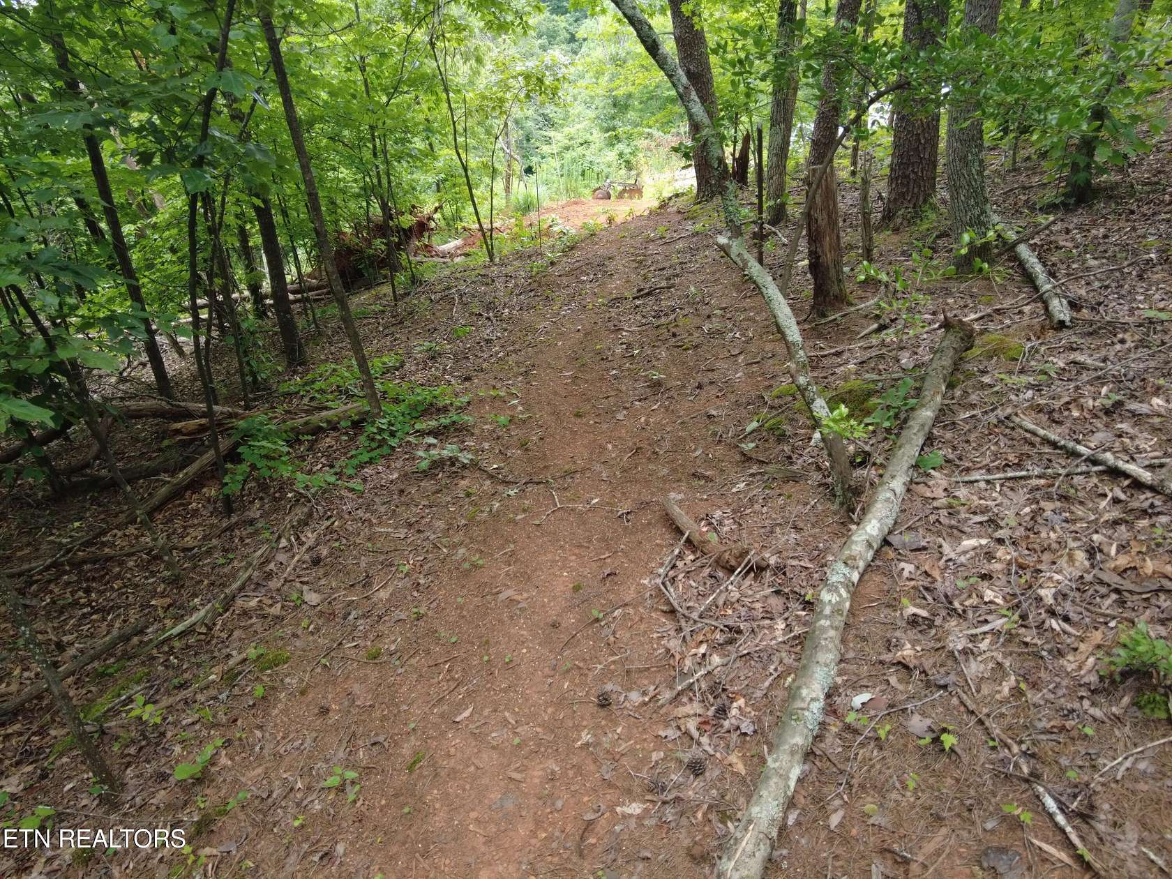 8 Acres of Residential Land for Sale in Maryville, Tennessee