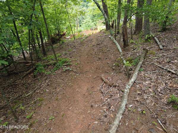 8 Acres of Residential Land for Sale in Maryville, Tennessee