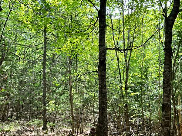 4.65 Acres of Residential Land for Sale in Richmond, Maine