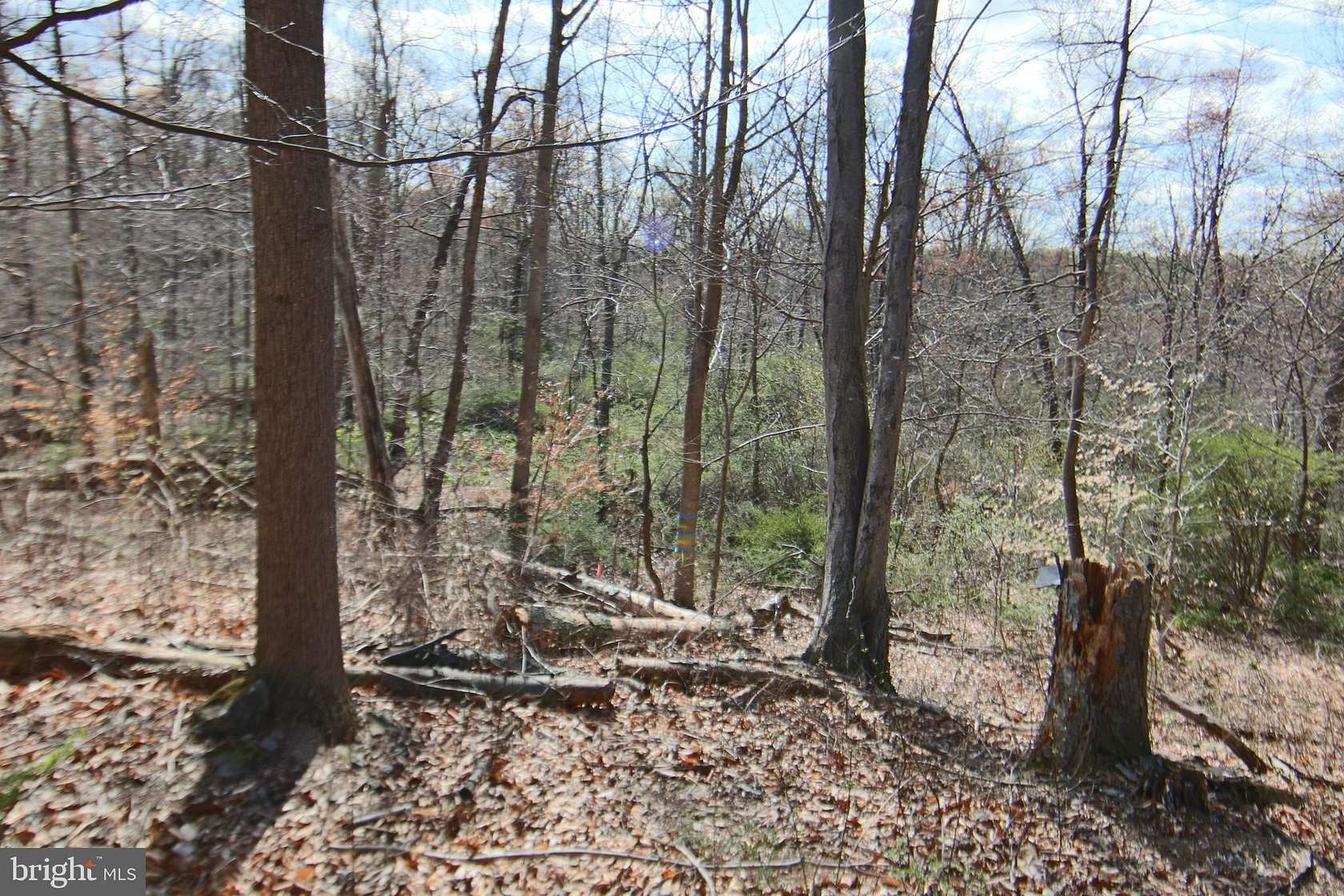 13.6 Acres of Recreational & Residential Land for Sale in Palmyra, Pennsylvania