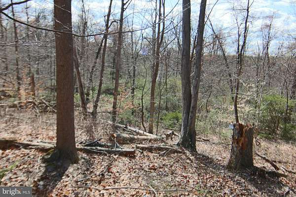 13.6 Acres of Recreational & Residential Land for Sale in Palmyra, Pennsylvania