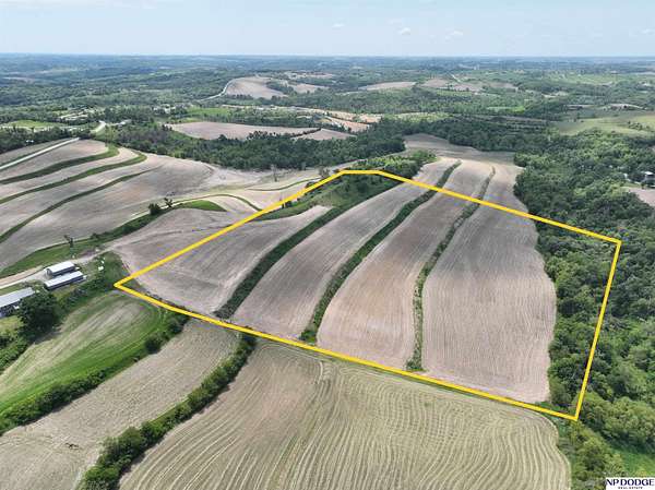 40 Acres of Land for Sale in Blair, Nebraska