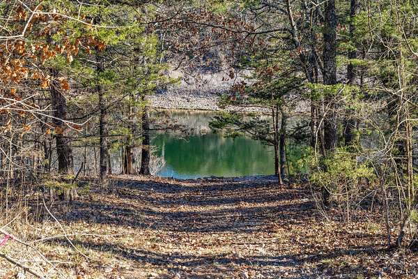 1.73 Acres of Land for Sale in Lampe, Missouri