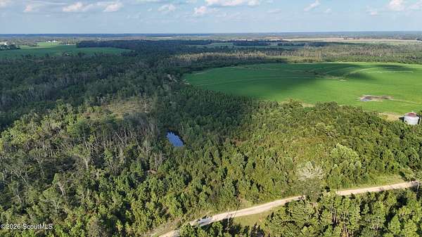 155 Acres of Recreational & Residential Land for Sale in Hazlehurst, Georgia