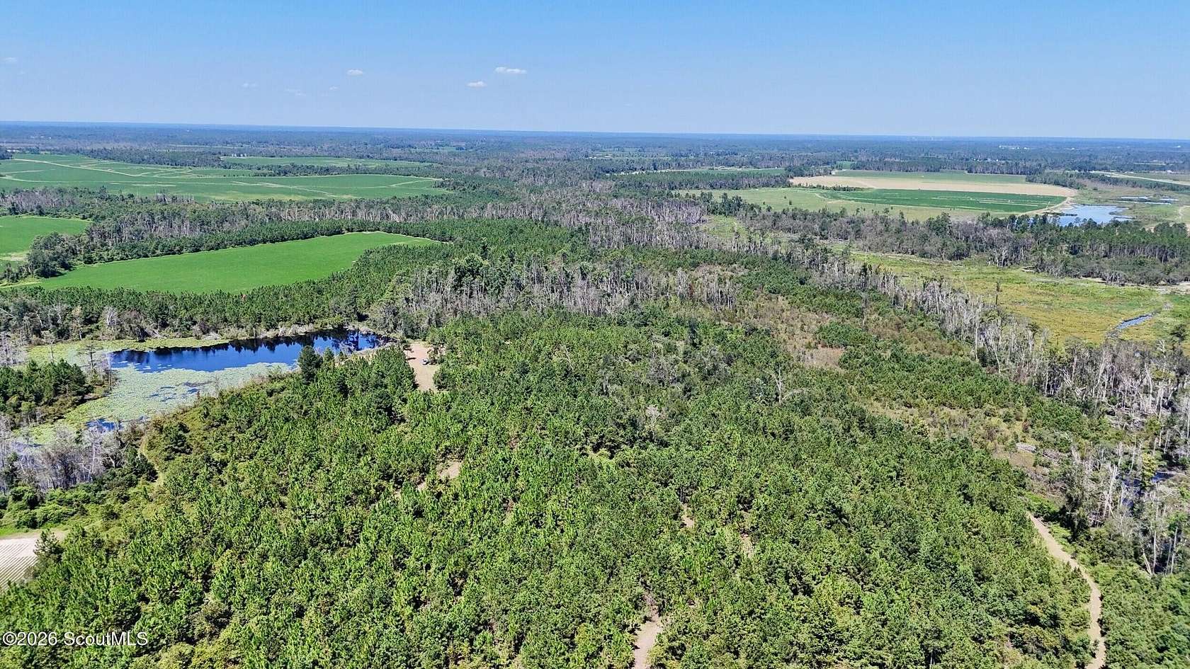 371 Acres of Recreational & Residential Land for Sale in Hazlehurst, Georgia