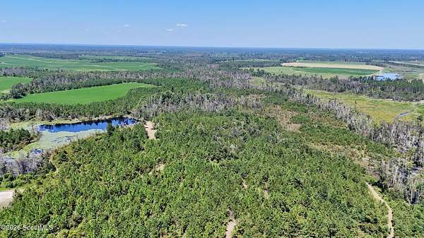 371 Acres of Recreational & Residential Land for Sale in Hazlehurst, Georgia
