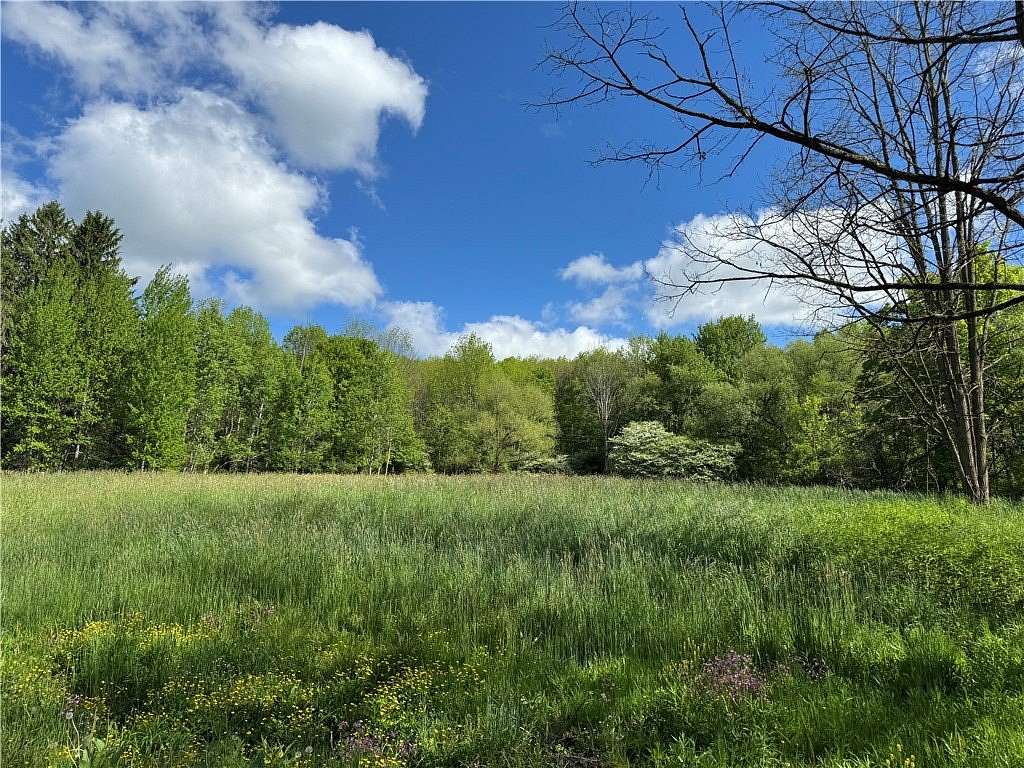 5.16 Acres of Residential Land for Sale in Otego, New York
