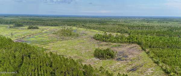 200 Acres of Recreational Land for Sale in Waynesville, Georgia