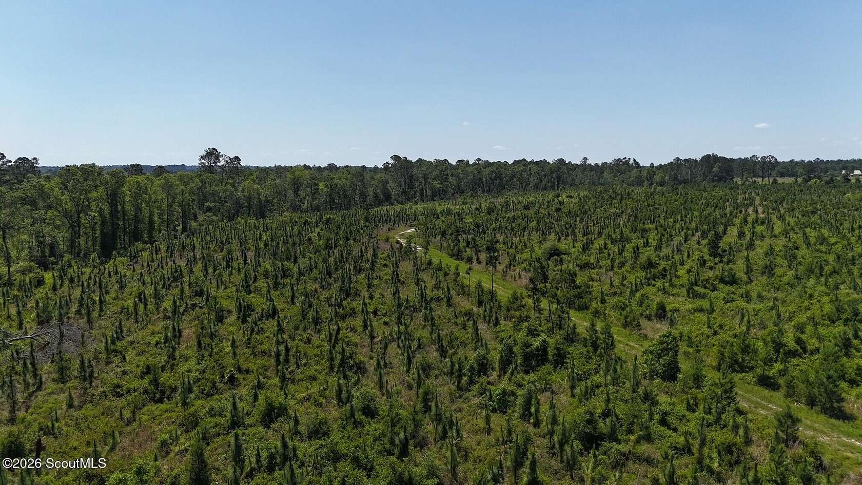 61.6 Acres of Recreational & Residential Land for Sale in Vidalia, Georgia